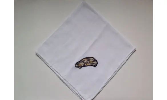 Embroidered swaddlings car